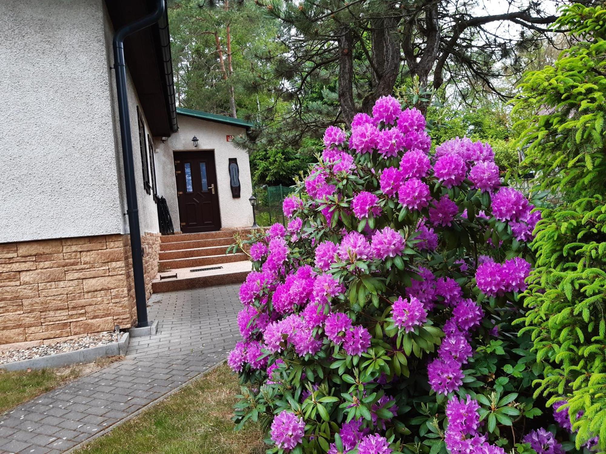 Chata Rynartice 7 Jetřichovice Buitenkant foto